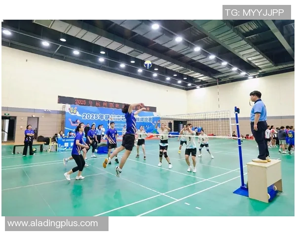 杭州排球队状态分析:备战新赛季的挑战与机遇